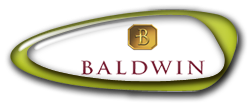 logo-image logo-image